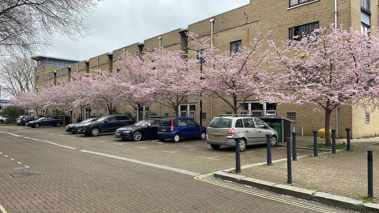 Plough Way Flat Apartment Londra Exterior foto
